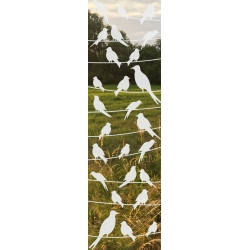 ROZ25 59x200 naklejka na okno wzory zwierzęce - ptaki